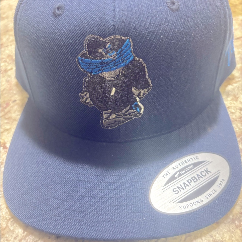 Blue snap hat